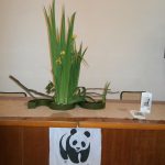 Festa delle Oasi WWF  - San Leucio - 2015