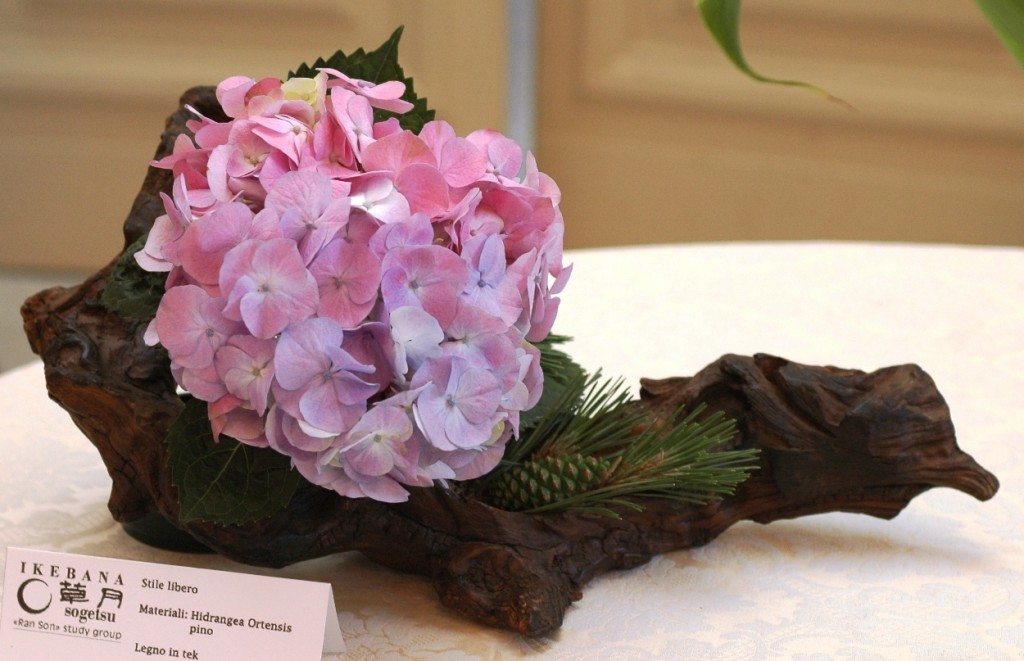 Hydrangea , Tek, Pino
Ikebana Stile libero 

Composizione senza contenitore