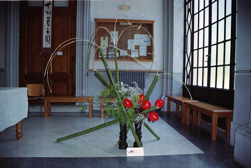 Installazione Orto Botanico di Napoli 2011 – Mostra Ikebana e Shodo “L’ikebana festeggia i 150 anni dell’Unità d’Italia”