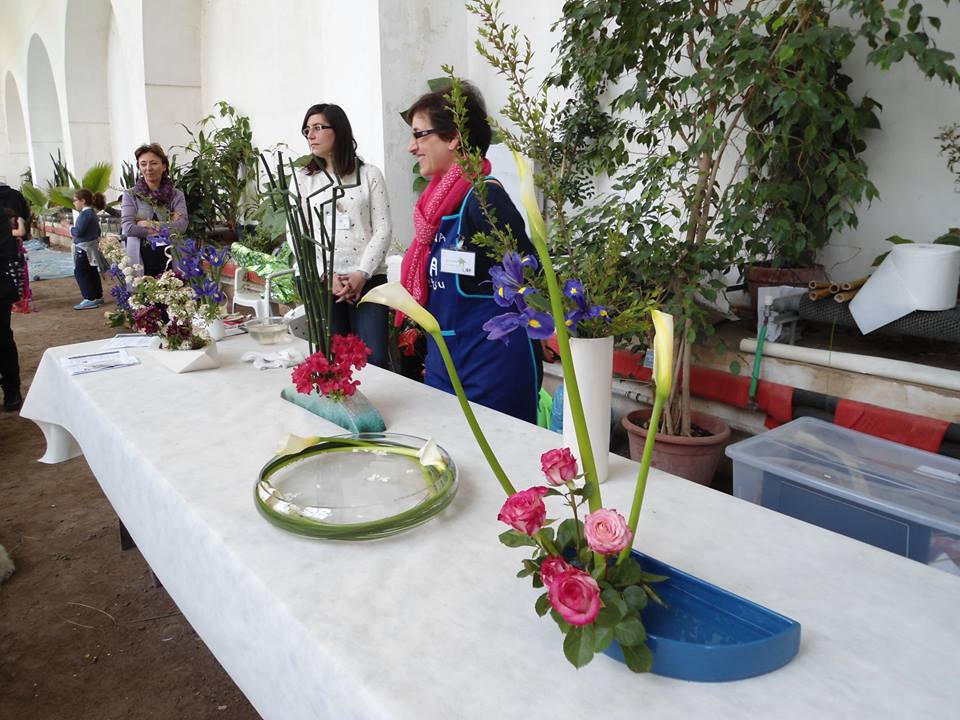 Planta III edizione - Orto Botanico di Napoli - maggio 2015