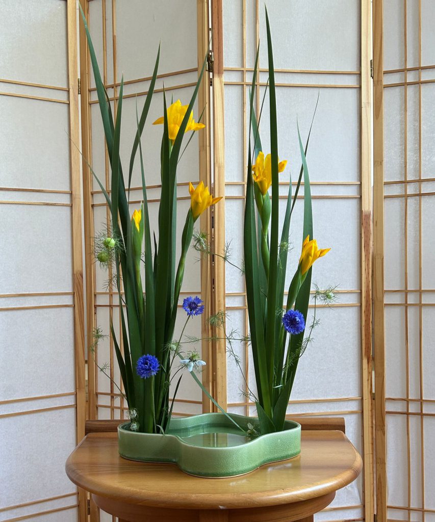 Immagine WhatsApp 2025-05-06 ore 16.15.09_d0fc9f1f