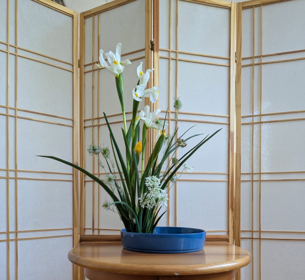 Immagine WhatsApp 2025-05-06 ore 16.15.58_50b5055b